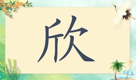 欣名字|带欣字的女孩名字